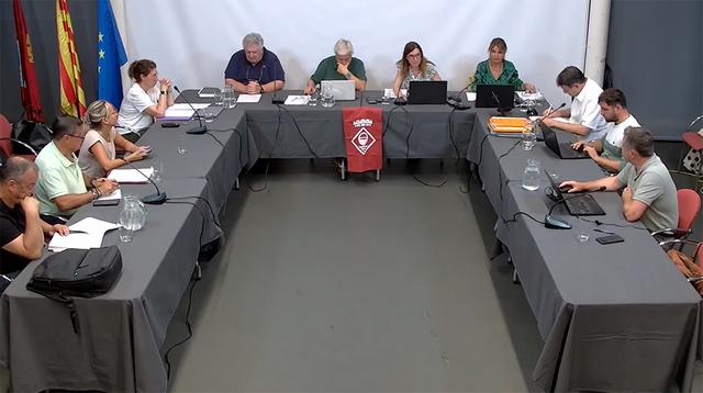 Ple 28 de Juliol de 2025