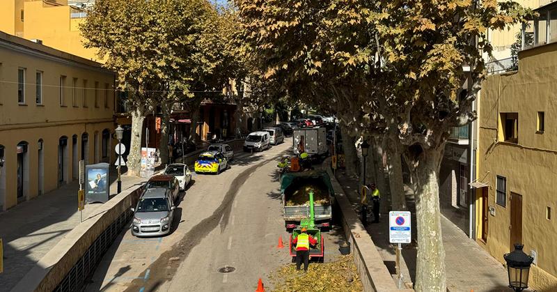 poda arbrat poda arbrat