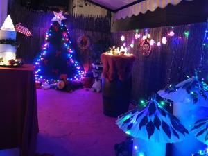 fa&ccedil;ana cam&iacute; nou 12