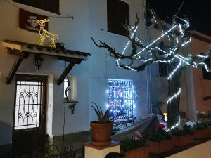 fa&ccedil;ana merc&egrave; 30