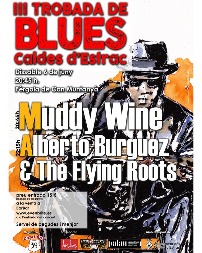 Cartell de la III Trobada de Blues