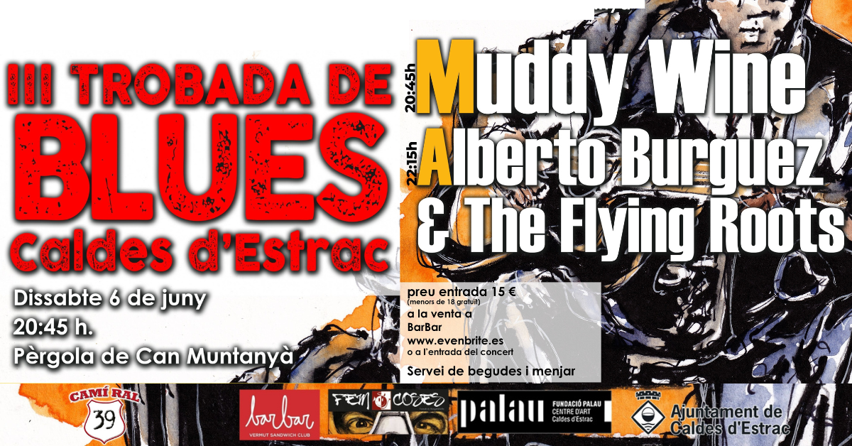 Imatge de la III Trobada de Blues