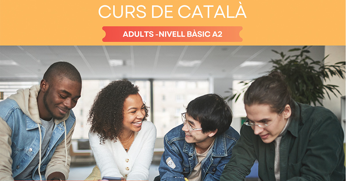 curs catal� web