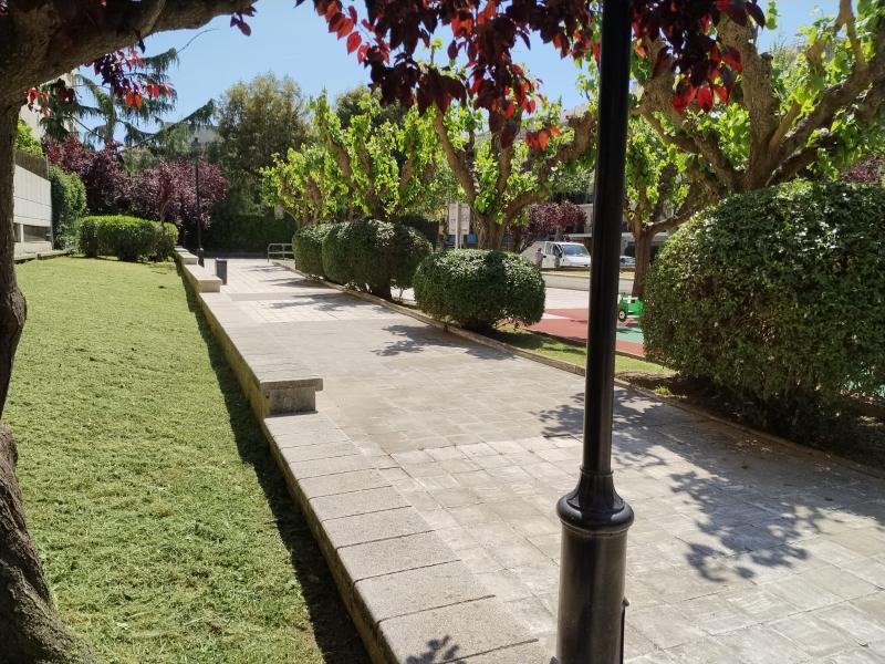 Vegetaci&oacute; a la pla&ccedil;a del Mol&iacute;