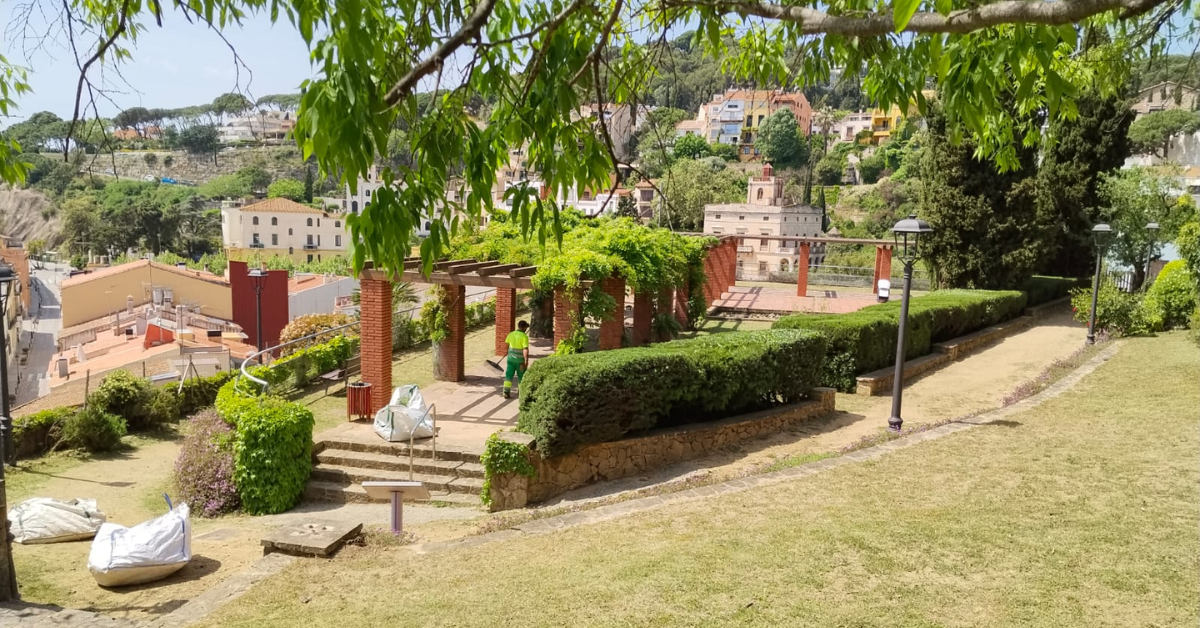 Vegetaci� al Parc de Can Muntany�