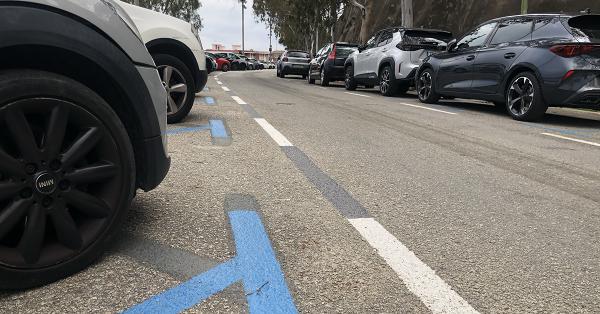 aparcament eucaliptus