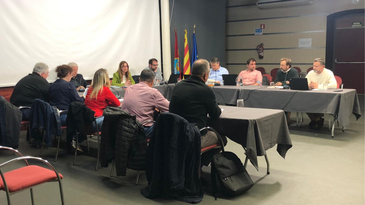 Ple Ordinari del 7 d'abril