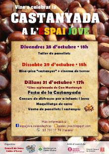 161028_espaijove_castanyada